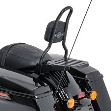 Sissy bar csm gebraucht kaufen  Meinerzhagen