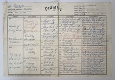 Vintage pedigree dog for sale  SOUTHAMPTON