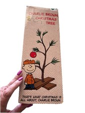 Peanuts charlie brown for sale  Keystone Heights
