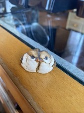 Esposito 1985 artefice for sale  Acampo