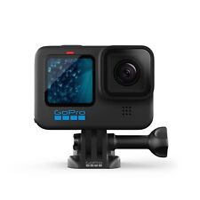 Gopro hero11 black gebraucht kaufen  Langenlonsheim