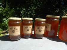 Miel abeilles christian d'occasion  Pleumeur-Bodou