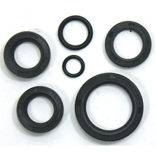 Serie paraolio motore usato Serie paraolio motore usato  Ottaviano