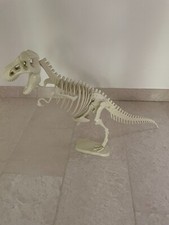 Erhaltenes dino skelett gebraucht kaufen  Kronberg im Taunus