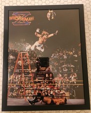 Wwf wrestlemania ladder for sale  Clayton