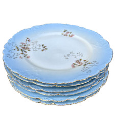 Assiettes anciennes theodore d'occasion  Granville