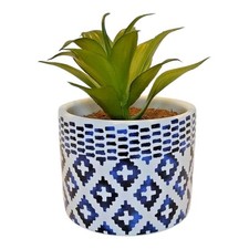 Succulent flower arrangement for sale  Monticello