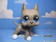 Petshop argentine great d'occasion  Expédié en Belgium