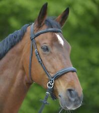 Star bitless bridle for sale  Shipping to Ireland