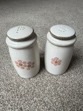 Denby gypsy salt for sale  SPALDING