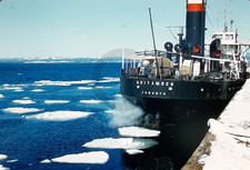 Britamoco toronto great for sale  Duluth