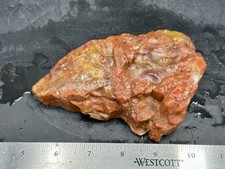 Henry mountain petrified for sale  Roseburg