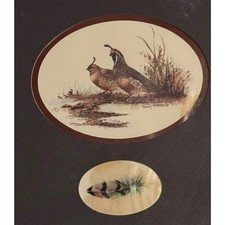 Quail print feather for sale  Saint Charles