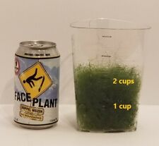 Cups macro algae for sale  Missoula