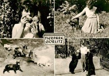 Zoo gardin zoologique gebraucht kaufen  Deutschland