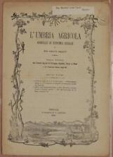 Umbria agricola maggio usato  Foligno