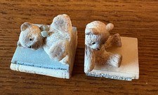 Miniature pair teddy for sale  Cheyenne