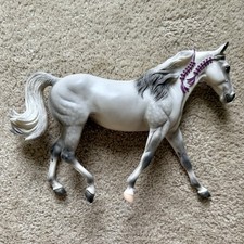 fox trotter for sale  Hazel