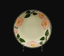 Villeroy boch suppenteller gebraucht kaufen  Hohenkammer