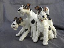 Cani caccia setter usato  Casteggio