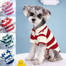 Fashion pet dog for sale  MANCHESTER