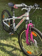 Ktm wild bee gebraucht kaufen  Kirchberg