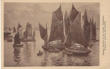Douarnenez bateaux thon d'occasion  Longué-Jumelles