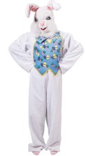 Adult easter bunny for sale  BOURNEMOUTH