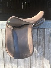 16.5 native pony for sale  SALISBURY