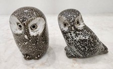 Set vintage pigeon for sale  Carbondale