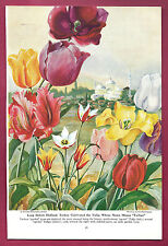 1947 illustration else for sale  Willington