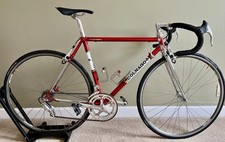 Colango master light for sale  Flagstaff