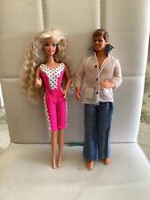 Lotto barbie ken usato  Piazza Armerina