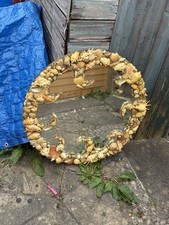 Vintage seashell wall for sale  HARROGATE