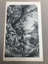 1866 original print for sale  FORDINGBRIDGE