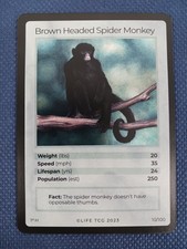 Life tcg brown for sale  Carrollton