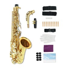 Saxofone plano Eb com estojo rígido e mais acessórios cor brilhante para estudantes comprar usado  Enviando para Brazil