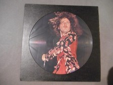 Led zeppelin picture gebraucht kaufen  Großkrotzenburg