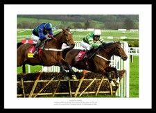 Istabraq 3rd cheltenham for sale  FARNHAM