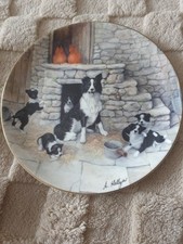 Border collie vintage for sale  CHESTER