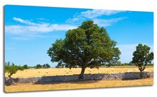 Quadro moderno campo usato Quadro moderno campo usato  Monopoli