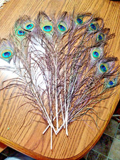 Pcs long natural for sale  Lewistown