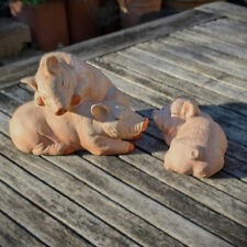 Shhh sleeping pigs. for sale  COLCHESTER