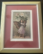 Vintage flower fairies for sale  ASHTON-UNDER-LYNE