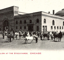 Antique udb postcard for sale  USA