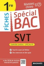 Spécial bac fiches d'occasion  Bubry