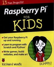 Raspberry Pi for Kids for Dummies by Wentk, Richard comprar usado  Enviando para Brazil