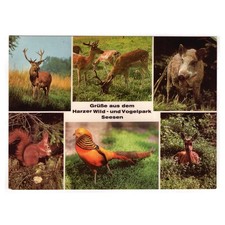 Harzer wild vogelpark gebraucht kaufen  Backnang