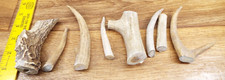 Pcs whitetail antler for sale  Gandeeville