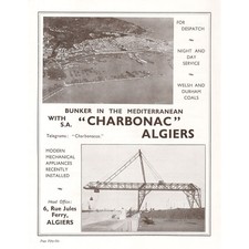 Charbonac welsh durham for sale  GLASGOW